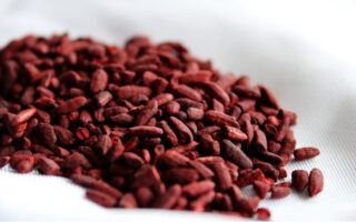 Red Yeast Rice