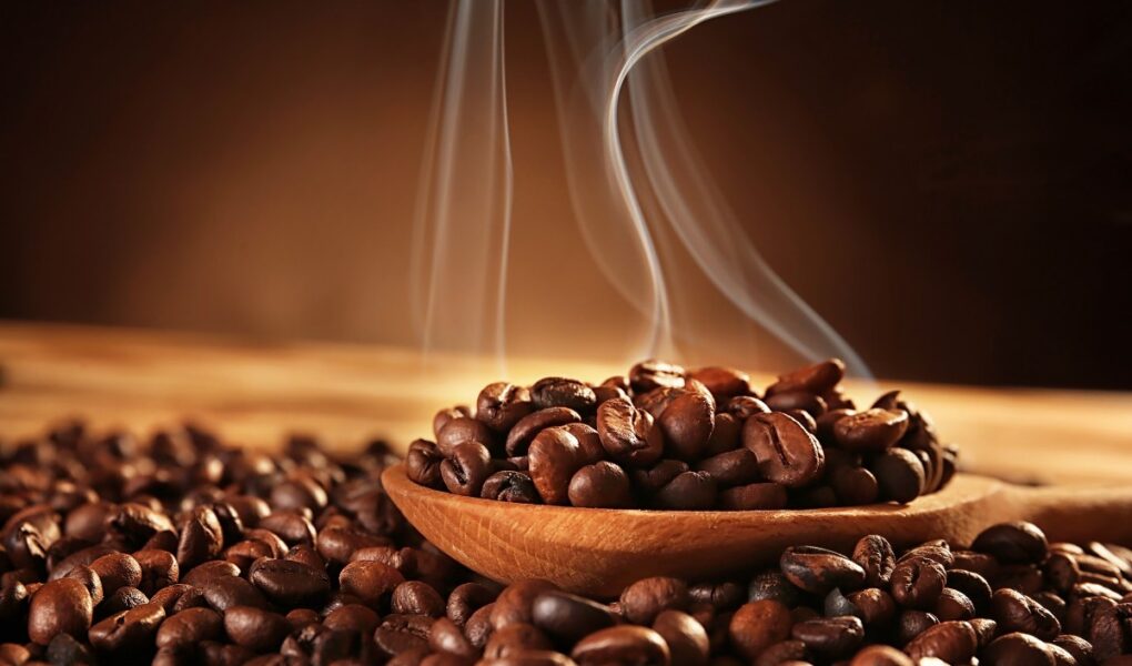 arabica coffee beans