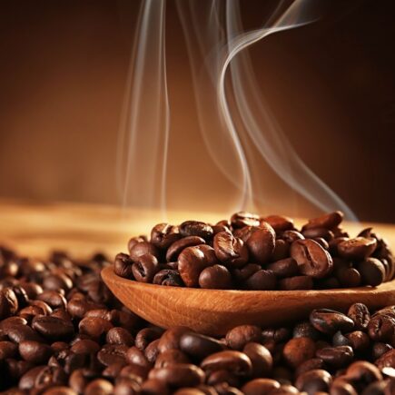 arabica coffee beans