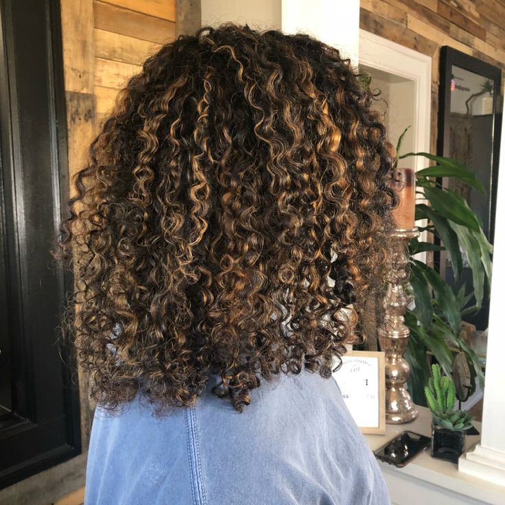 Highlights On Black Curly Hair