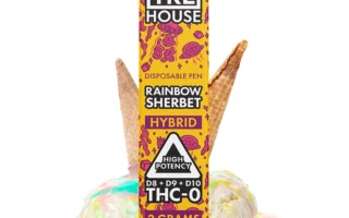 trehouse d8 rainbow sherbet vape ind