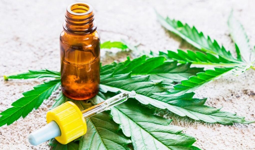 5 Ways In Which CBD Can Be Useful