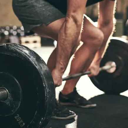 Review Of Gym Member Behaviour