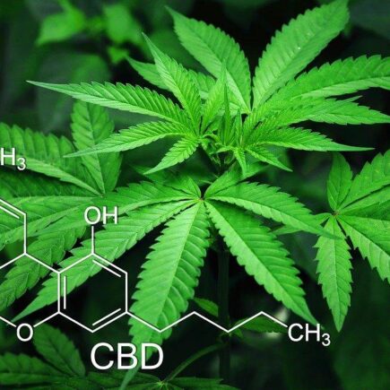 Marijuana, Leaves, Cannabis, Green, Natural, Narcotic