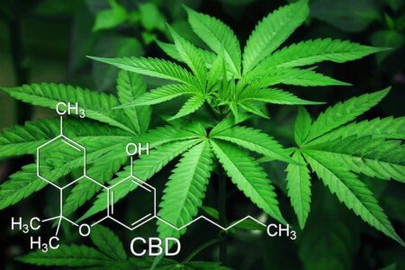 Marijuana, Leaves, Cannabis, Green, Natural, Narcotic