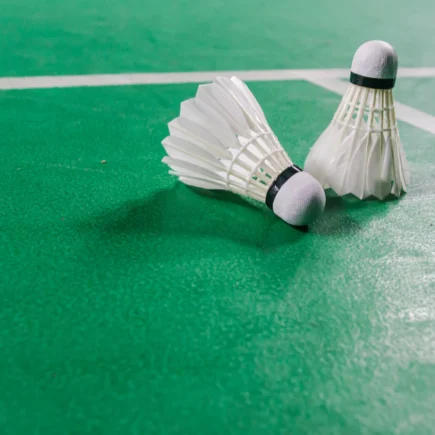 Essential Equipment Every Badminton Player Needs