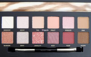 How to use perfect diary discovery eyeshadow