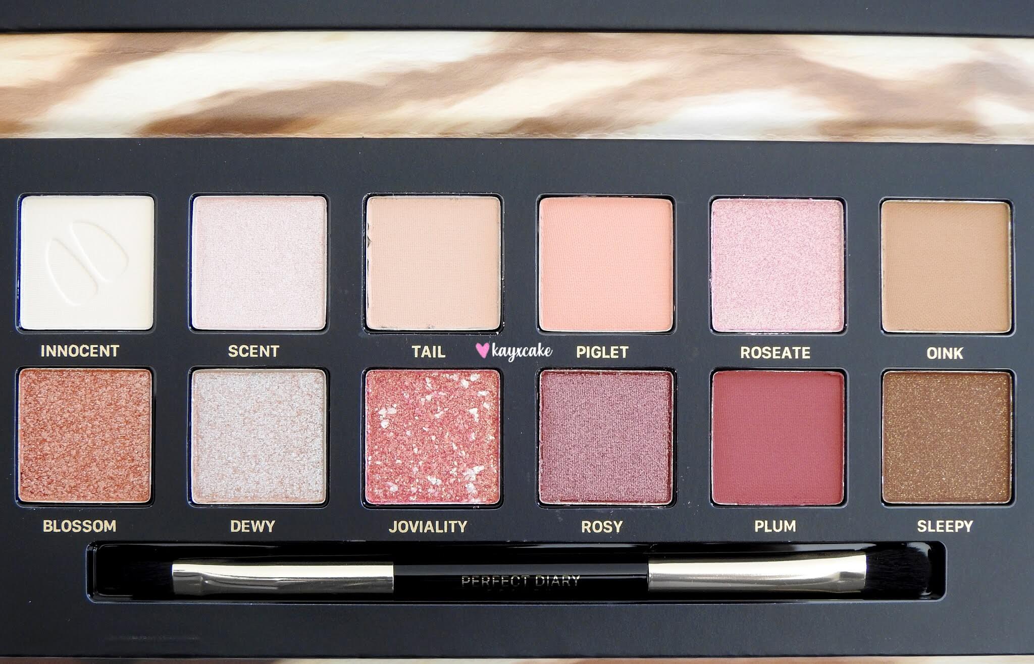 How to use perfect diary discovery eyeshadow The Mews Beauty