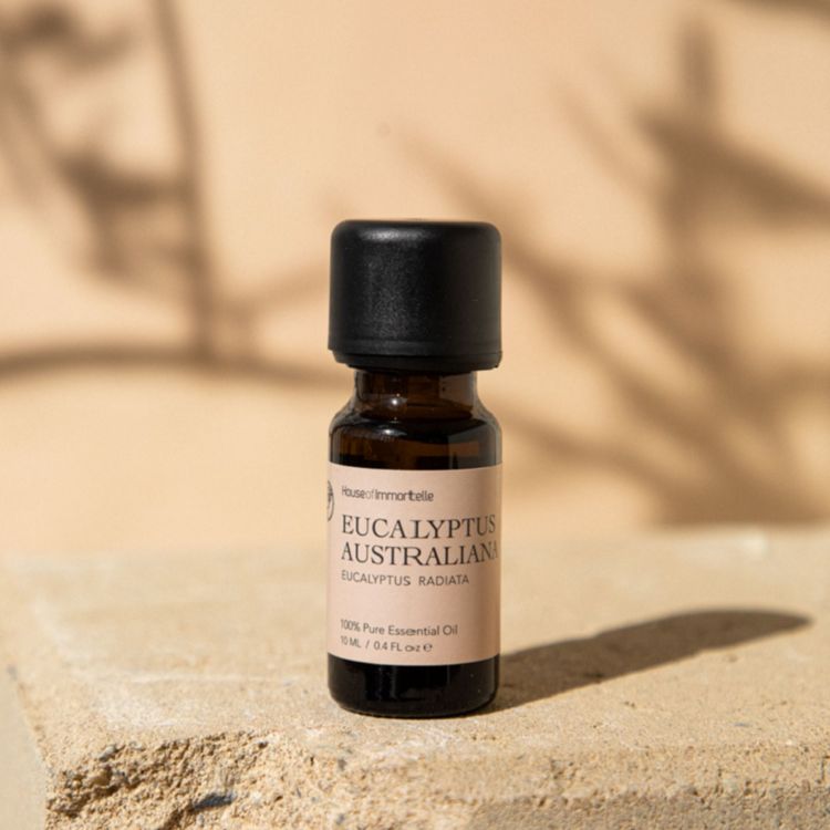 Aussie Essential Oils How Australian Essential Oils Can Transform